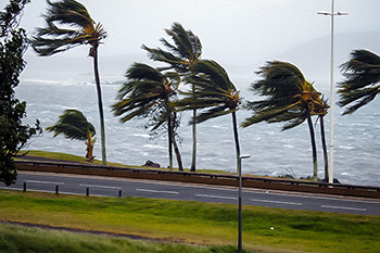 Hurricane Preparedness for Restaurants&##x3a; Planning, Response and Recovery - In Partnership With Resy